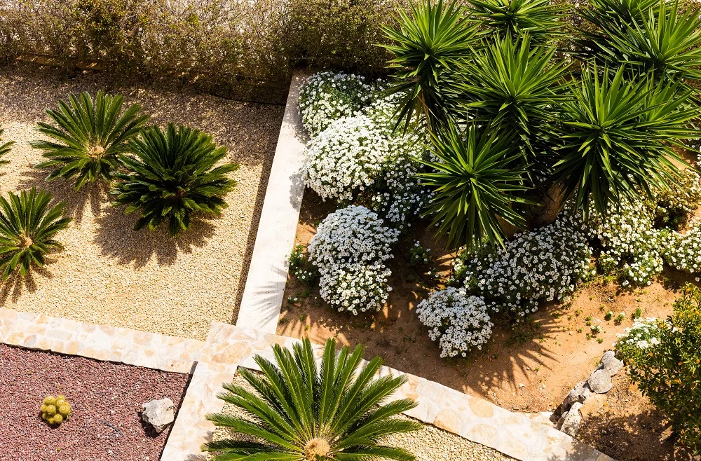 Unique Front Yard Landscaping Ideas